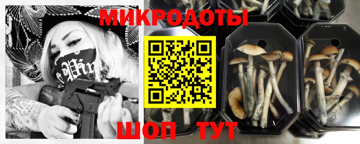 купить  цена  Вход с VPN  Семёнов  Галлюциногенные грибы Psilocybe 